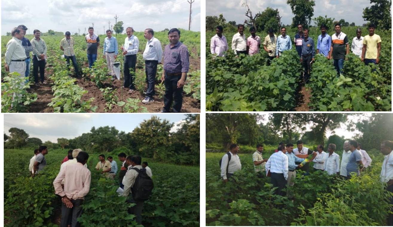 Monitoring of Pests and Diseases of Cotton in Kalamb, Yavatmal and